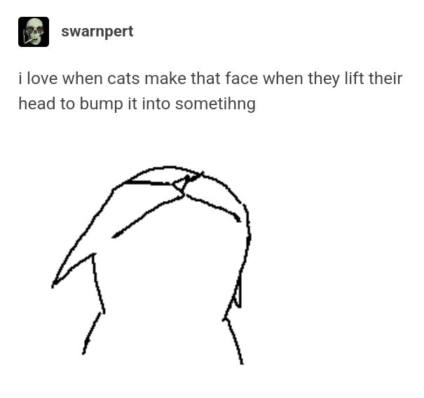 Tumblr post by swarnpert with the caption "I love when cats make that face when they lift their heads to bump it into something"